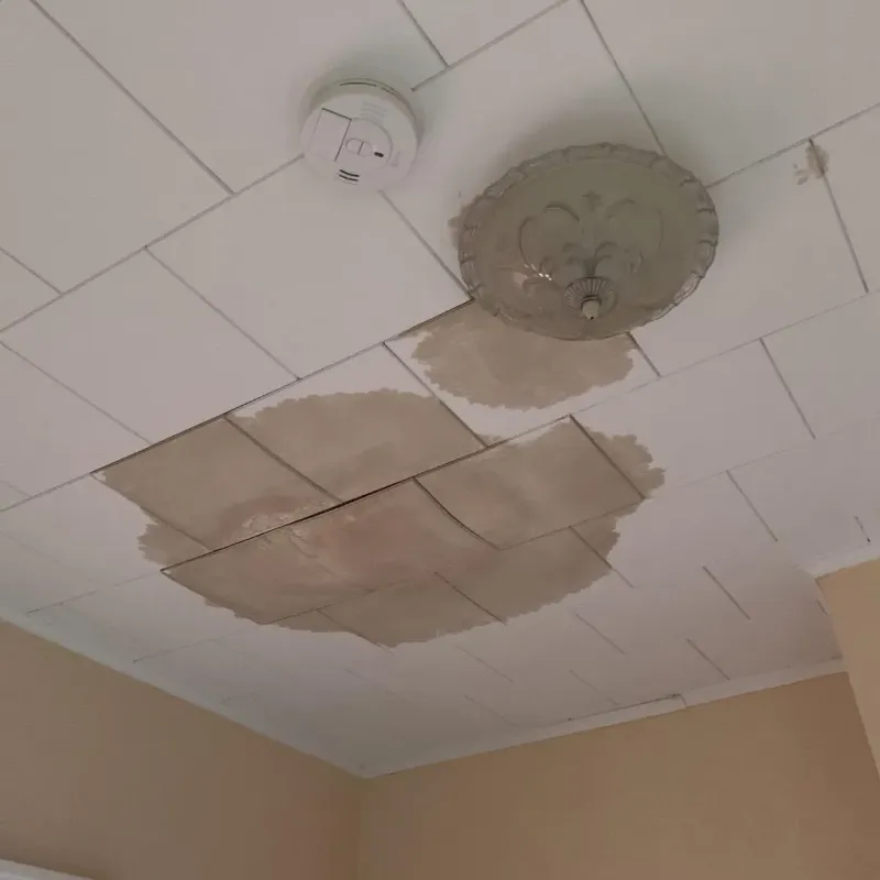 Ceiling Water Damage Repair in China Grove, NC