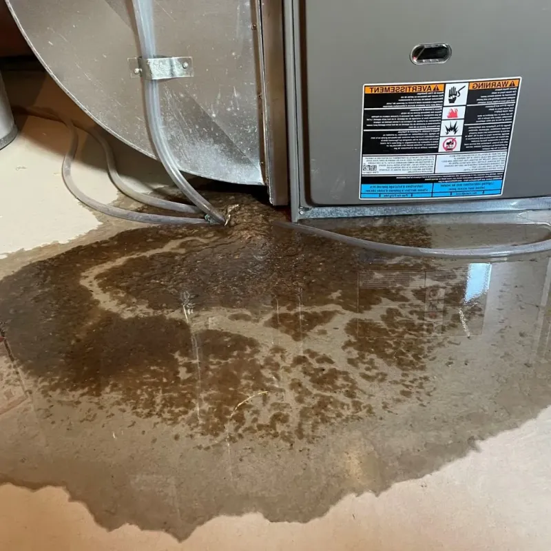 Pipe Burst and Leak Restoration in China Grove, NC